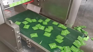 Полностью сервоприводная многопоточная машина для упаковки в саше